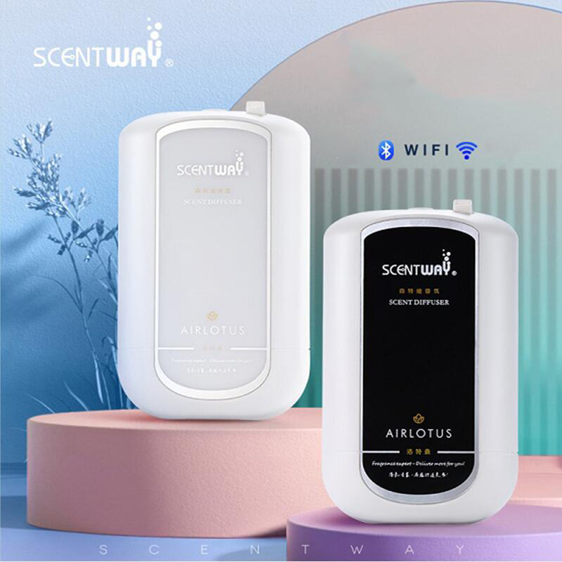 Dyfuzor zapachowy z czystym ol – Home Fragrance Aroma recenzja i cena