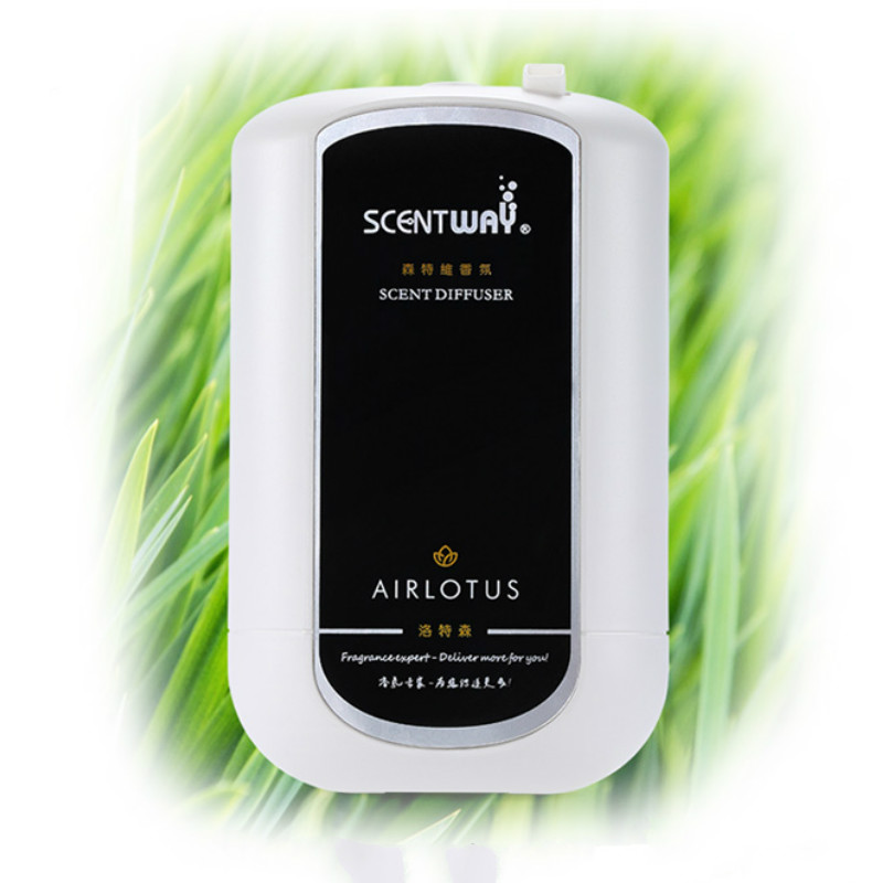 Dyfuzor zapachowy z czystym ol – Home Fragrance Aroma recenzja i cena